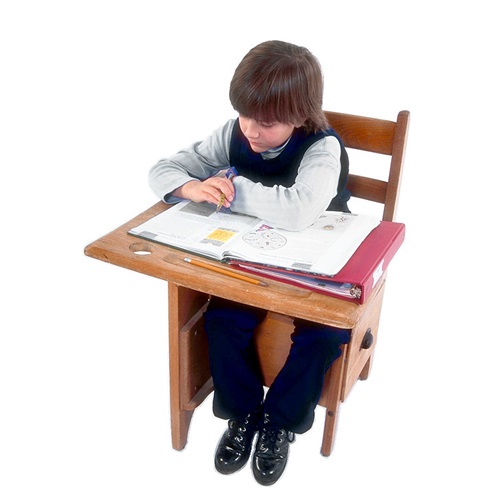 do school work in verbal behavior  category